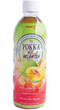 pokka ice melon tea 500ml